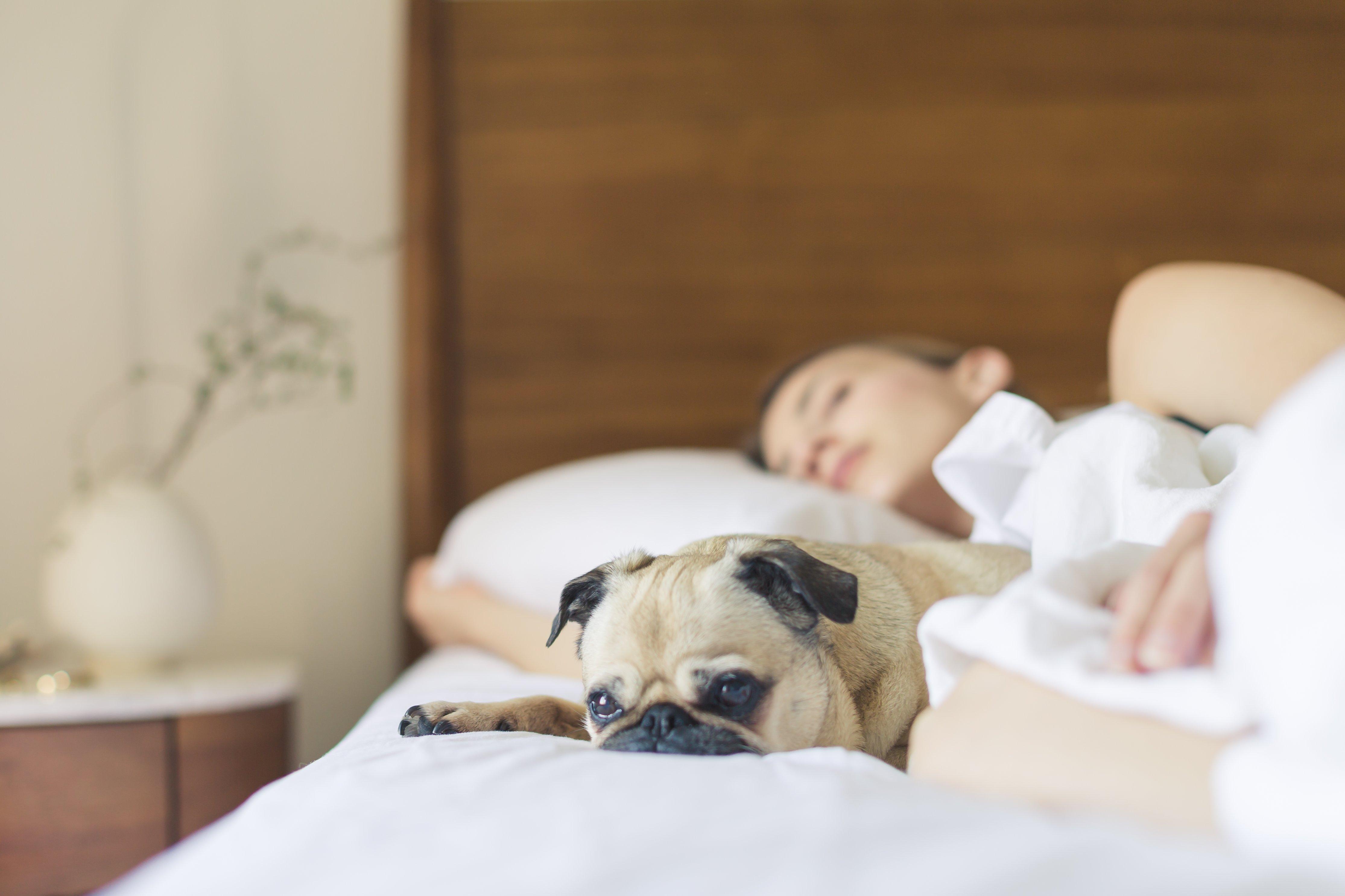 Holiday Inn Express Tucson-Airport By Ihg Luaran gambar